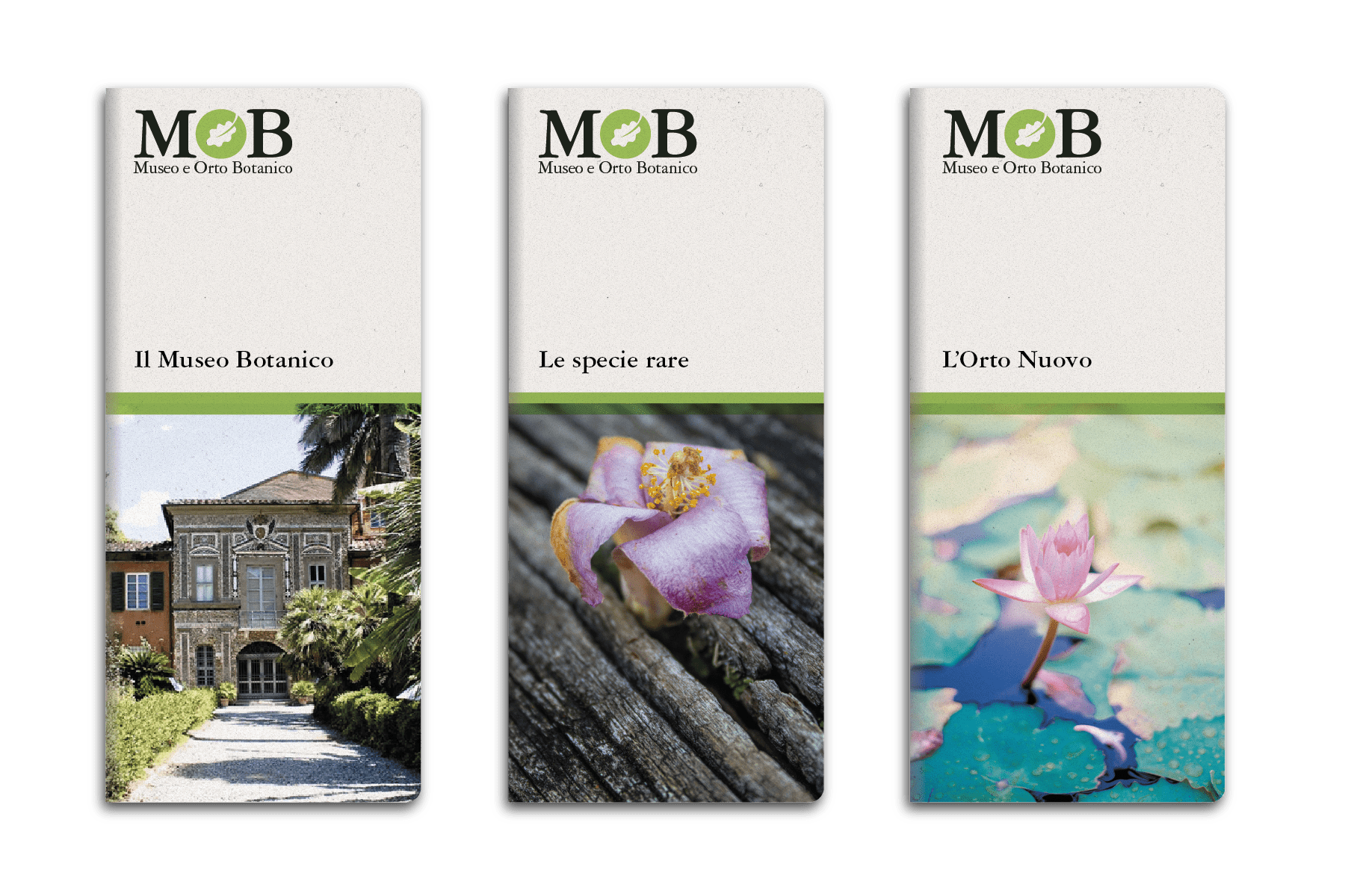 MOB Museo e Orto Botanico di Pisa