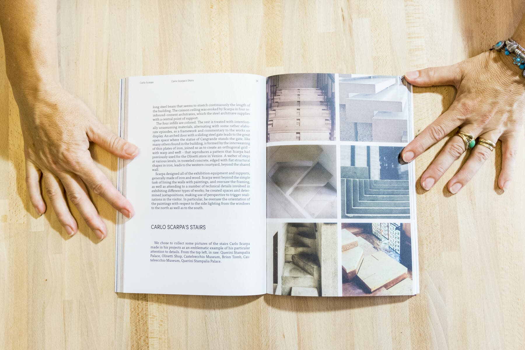afieldguide_031