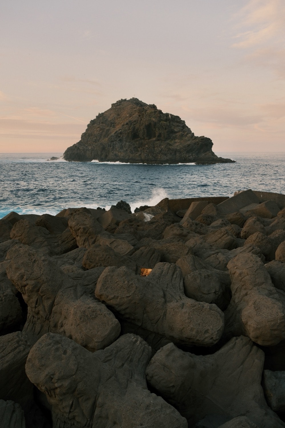 An orange cat sleeping among rocks of a rocky shore. At the horizon, a small island.